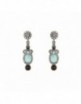 Pendientes plata Sunfield PE060954