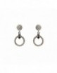 Pendientes plata Sunfield PE060955