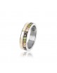 ANILLO ORDESA CIRCONITAS. AN062701