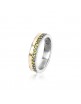 ANILLO ORDESA CIRCONITAS. AN062705