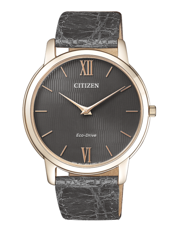 Reloj Citizen AR1133-31H