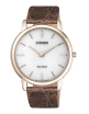 Reloj Citizen AR1133-40A
