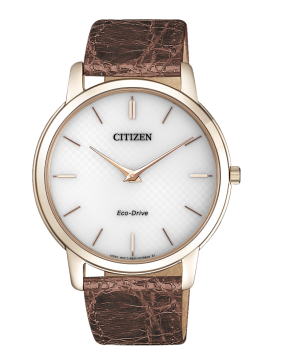 Reloj Citizen AR1133-40A