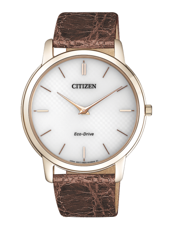 Reloj Citizen AR1133-40A