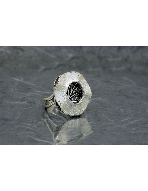 Anillo plata Ardentia 02530362110014