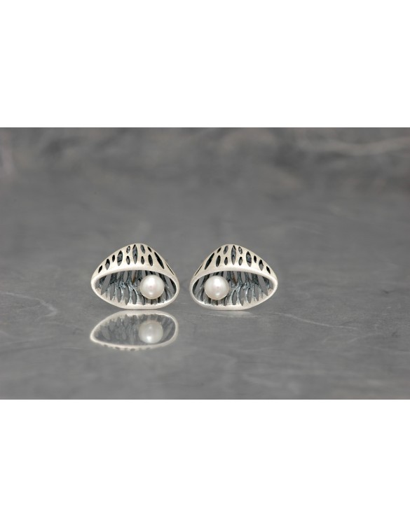 Pendiente plata Ardentia 01196226017700