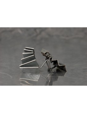 Pendiente plata Ardentia 01198662020000