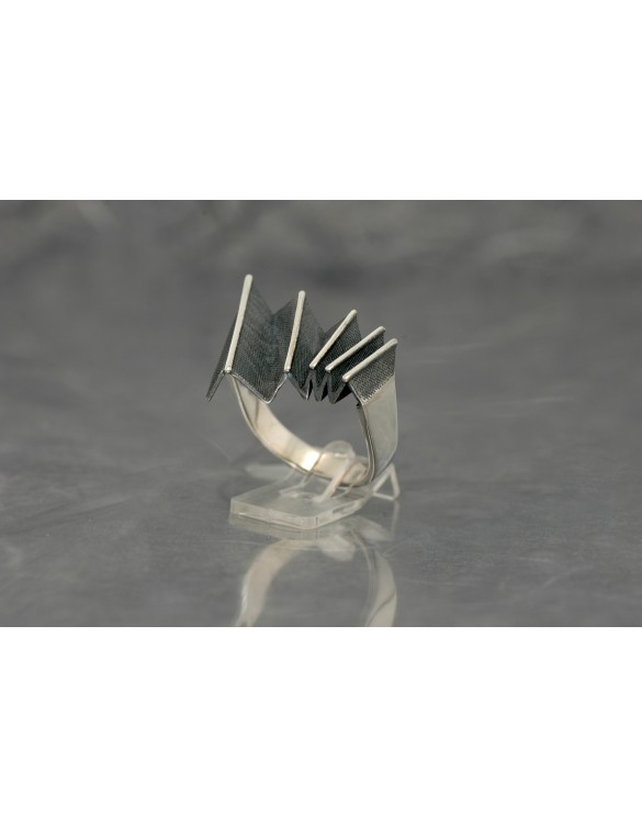 Anillo plata Ardentia 02198562120015