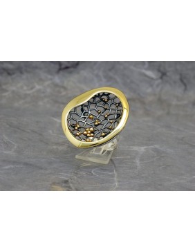 Anillo plata Ardentia 02100224118214