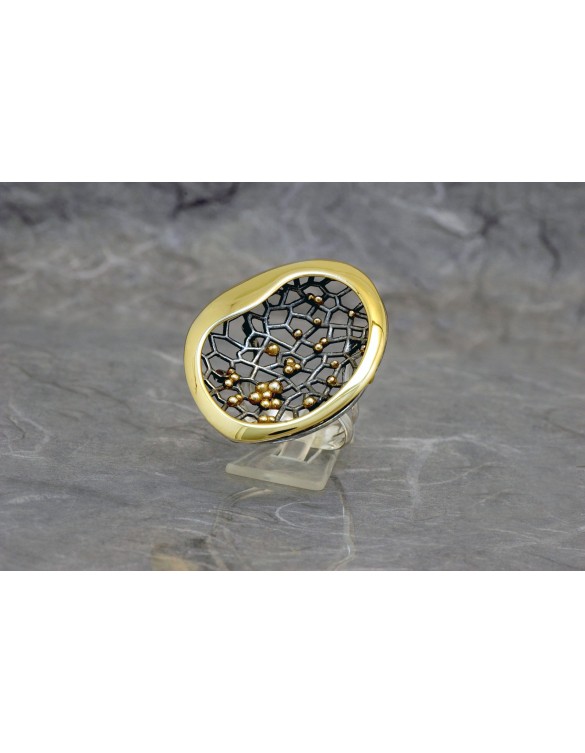 Anillo plata Ardentia 02100224118214