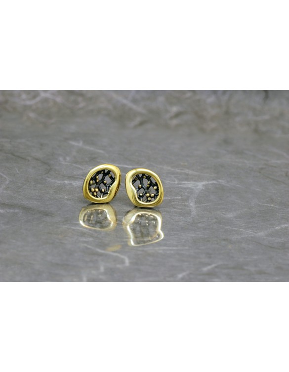 Pendiente plata Ardentia 01100124018200