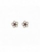 Pendientes plata Sunfield PE060902/15