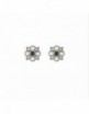 Pendientes plata Sunfield PE060904/13