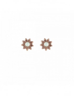 Pendientes plata Sunfield PE060855/2